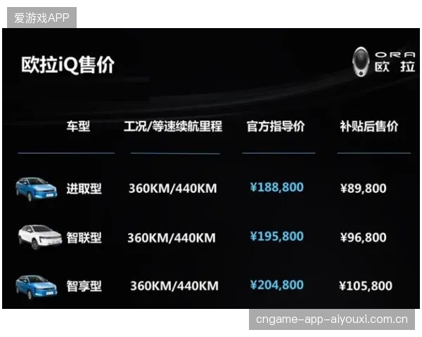 安东内利雪邦起步制胜：从零起步到行业领导者的智慧与策略